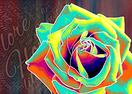 2019-06-08/f41ab3ccc7cfd7ba55cfe1101d864027_f263af6daba72f1989f72922adc8d735