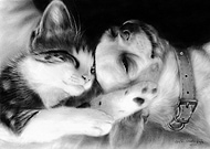 2019-06-08/fe13b4a4c2b6021bec65c01904a5fd8c_805a70ea93351eae6b42cbecb6f10ab7