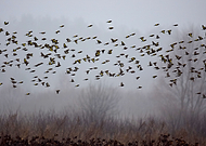 2019-06-09/3ffb0ed13c3e07cc7faa6eee257d9141_72c63a6b4fb18292f5c63de5643d75d4