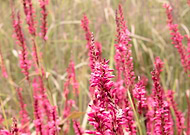 2019-06-09/5e050f1a930461367b47e9fad5f52723_5ae82195c5e8afed3f8b6f6087fe3694