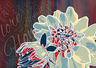 2019-06-09/dc026007284b0a9be86f3668357e7133_a0141918d678a5b6f9b12c5cc421fdbb