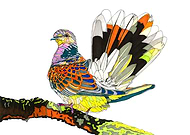 2019-06-10/5c4b177a9fd98640370f622231d81aea_ed4f66b81c7e292ac15564dc8307ef30