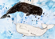 2019-06-10/e58779243846588fdd3817a74788c9d8_4197d4207ce9a7cc93e63845dca1710b