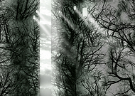 2019-06-11/0ce7440177d93406b3705ca446345e48_182828a3b530f03f718eb1e6fff117a5