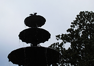 2019-06-11/be5a048dc5eee16b6cdc1b445f518093_dae708603ad4ea7e1574ec3412773148