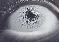 2019-06-11/c01f2be3440efc401081dab0779efb14_366fe8885ba7b2e035d6d8fc2ee2f31f