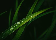 2019-06-11/d8ed61e4b3aecf0fee92dc3eba648b2c_e8dafa01edceebb8c59bcb49c829ba2a