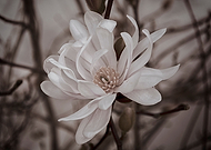 2019-06-13/0a82c1e2cf6192a6b99b94e6cb4e3621_99af1ec744ca64c91565750c3ad4dc3a