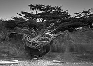 2019-06-13/38a3c58d4f071b4357693d42a62a7037_51df3b67be2a456c3f375caf15871dcd