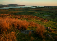 2019-06-13/39542e485f978ab3e4381a58e0866208_0ad69117aeccbb0cfbfbec5ca4546052