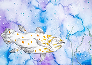 2019-06-13/5c07f11d99ec73fa00515249d5c5b5ca_3ea648fb80434465a5daa091be620ed8