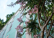 2019-06-13/793a81b0726ac9471e4f175bb1724be9_1fec7f5b7cdb570a2cebcc9b145290cf