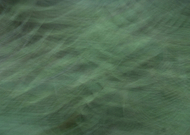 2019-06-14/2ca2c5437c1b08d4ae56ac365c5f4f20_1d16cd79b82ce15afb56d43a637a3fb7