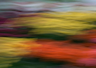 2019-06-14/99345c9389d36399e3b99333cf3357d4_74e35d3aa8bb4a5993fb1bad373f6e12