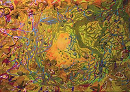 2019-06-14/cd7cbd3c8e6fa5d91d08fcea80369c1f_4def4a7b66b164c438d0c9f21aab9835