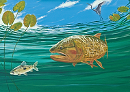 2019-06-15/cd642b87a47dfe105f85a3028c22360d_b955eaf551d4ce0a3d1a072683ae2bf4