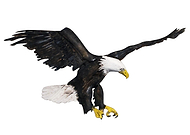 2019-06-16/cba19a345b1dec287087793ac215b73c_544c5893f9ba96b4aa3e4aa91fc296df