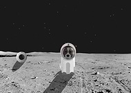 2019-06-17/35b5d5ecd84bbb174c9b2d8acc6102ab_aa243395bebd15585e3c3fbab8dd5e3f