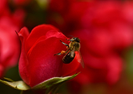 2019-06-17/5b09404e0f39e02e349dd755cf6b5a05_fdff4f62ebfff59a96d19a65647ea265