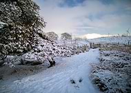 2019-06-17/7eddce5b45508328174baca77b3fbfdc_57de166a8de24ab824fac2ed56cf9c72