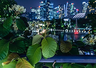 2019-06-17/e9e98c0660d434f50801b859af79109b_50dc3d8eb4f85a613b42b788e17ae4f4