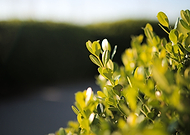 2019-06-18/28c7a8a04224ea1ad2d021becb99a9b3_976c54fcc67f77b75dd34271f85acc11