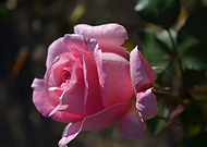 2019-06-18/908d2e89660f276820d0f6966ad97396_1a529740118b75ec267db047fd2a6344