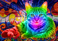 2019-06-18/bb3a48aa4eeebaa584120e4c13b81416_d91c0014785cfbec99feb549b1c57e18