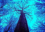 2019-06-19/6c9815a0d7191fb33c936fa4ee3f87ba_3563f81e1c4c06dfc360351922c6169a