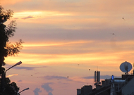 2019-06-20/06217b4379bc7f0f3592f969bedd02a2_7df7f1d27fed9c6e3a5a5bd45f725d0a