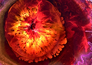 2019-06-20/0bf1ec7980cd7c20c00f1039aa0da059_bf9c4b1df2ef28674bd7fbb2b7e44d3c