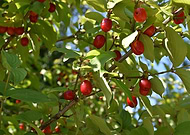 2019-06-20/5c905c7c83fbaccf8cb68dad45e37185_50cf561e4b542592ede906b9f49e09cb