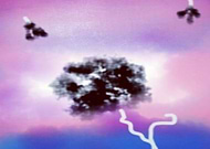 2019-06-20/f299419991dc1cd79438f4878cca12d9_fd07ca9be2f88ae4f0f823fa85394648