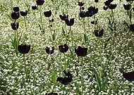 2019-06-21/1374b77229bdb89af2a8d63f90de6f5a_93f14012274643a2ae2ef6b3b2e71222