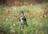 2019-06-21/3ea76026afcb38f48b812cc7786de8fd_ad4d03cdf9c3ead19a9437e15f0bffe9