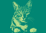 2019-06-22/20d57c0348d24a21be0829b0e8198483_4fca59a7c83e576e14e57e01641abb52