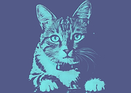 2019-06-22/72e081a9ce440a1a697fb1455e3d92d9_77df78a3e396655123b1a2f7a24dfee0