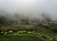 2019-06-22/c901ad90c132f11b39cf6328c4d3de23_f9e12f08040cec5c837238ee8f92b3f8