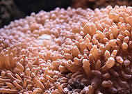 2019-06-23/0ec3b580dd50d7d6dfa9b45cebd8b7d9_becfedd9f66729b9bf8c4072ba06d948