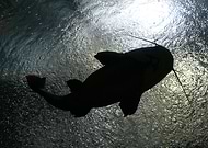 2019-06-23/7e0d3899de84a4e9dca0549d1703ef71_3c26ba4942785779c0c74bfa29edfa77