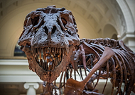 2019-06-23/9fc692032a5bd811cfb8b75d500230a3_45127cf2f338b80d0371d5c397f9d2bf