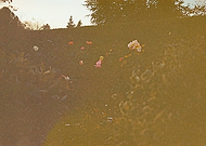 2019-06-25/2aa7828c4662254b545720216836a25c_e3ddb752ca15ee806fd0e777083aa15a