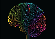 2019-06-25/3bc239fb6f1a3309a5b847b2232bcb4e_cb38191995564242acf32c2e8da7be5b