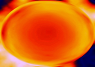 2019-06-25/400f72a45c764d460600cc540b3839d0_68d80d945b09279231516133d335fb81