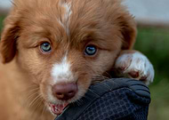 2019-06-26/075c3b50dfac67bb75e5cf5fb23e3910_2114a37b9d7c71733b0683cd27b79162