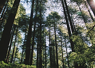 2019-06-26/193d867a84f60e2d22459e3c6a0924a5_4b3e13ad191d16b32c6426923536608c