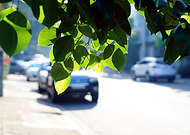 2019-06-26/44dc63dbaed788ecd97098ccada2d879_43aa507564ac78c3bfb077fca4cb8a66