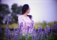 2019-06-26/68108d5923abd9b946ea765324587e94_8ec0cf758aa079b85e572b2ace873a12