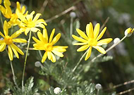 2019-06-27/69a78e64b3dbe02c646a5300900ee07b_433dbabb910027c4fad7ec474619a2f8