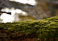 2019-06-27/6ebb4464afe28225b01c17dfdc6485c0_399e8eccfe6ffc5da87d69e3cfd561c7